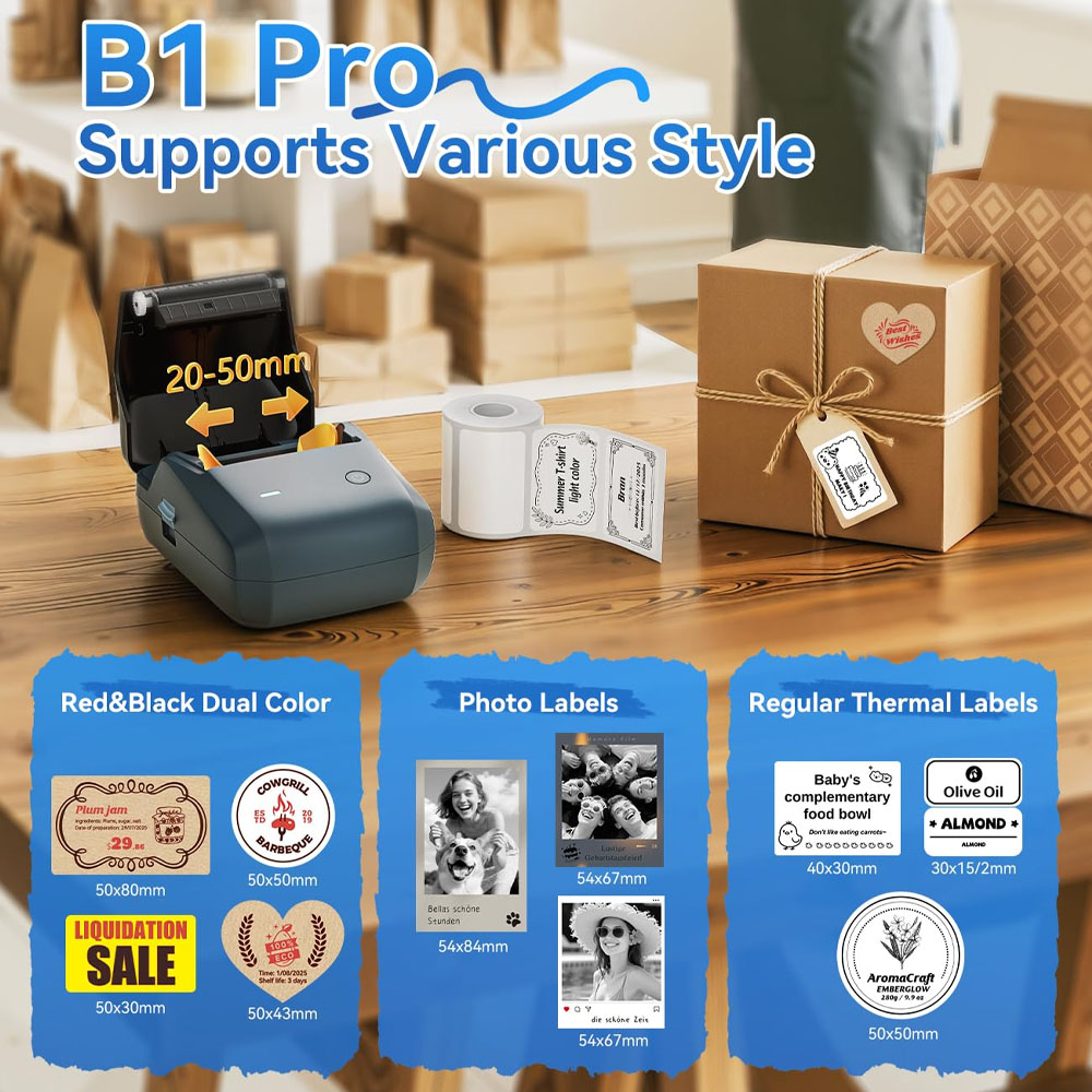 Niimbot B1/B1PRO Label Printer - đánh giá và giá Commercial Printing Dpi